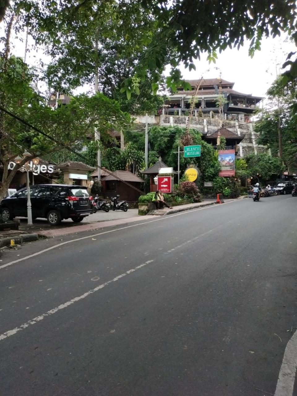 Sari Villa Ubud Bagian luar foto